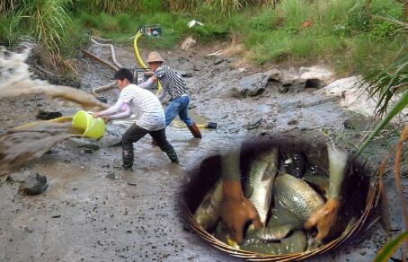 不起眼的偏门赚钱门路，农村小伙靠抓鱼3月赚5万
