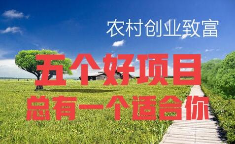 农村赚钱好项目有哪些(五个农村致富好项目)