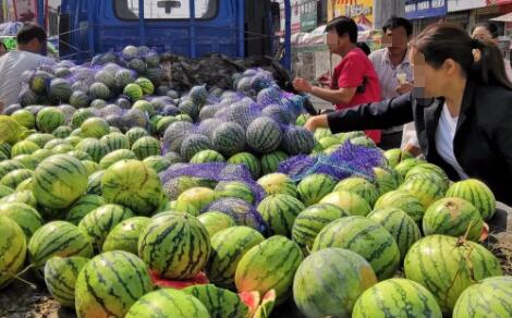 夏天一个人单干的小生意，卖西瓜看着不起眼但很赚钱