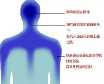 捞偏门赚钱暴利项目,被玩坏的ASMR项目!