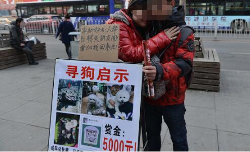 暴利却没人愿意做，不起眼却赚钱的行业