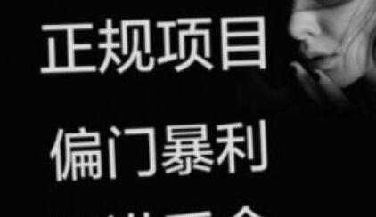 现在偏门的行业有哪些，不起眼很赚钱的小项目