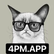 4PM AI图标
