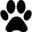 ShortGen.video图标