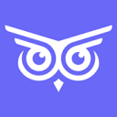 Brandwise AI图标
