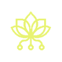 Pollinations AI图标