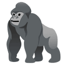 Gorilla Terminal图标