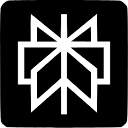 Perplexity图标